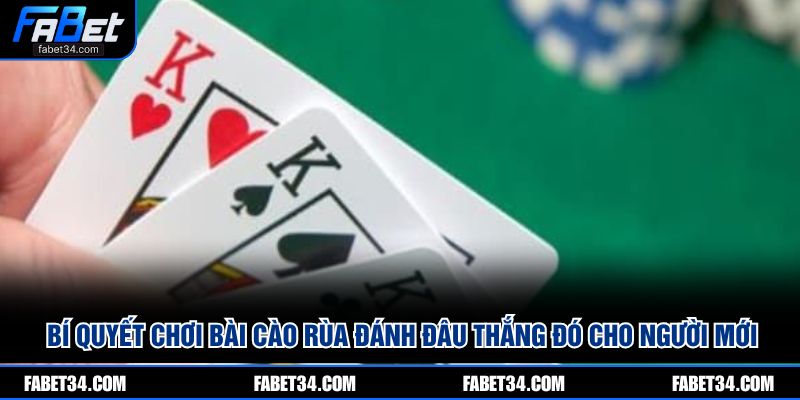 Bí quyết chơi Bài Cào Rùa đánh đâu thắng đó cho người mới